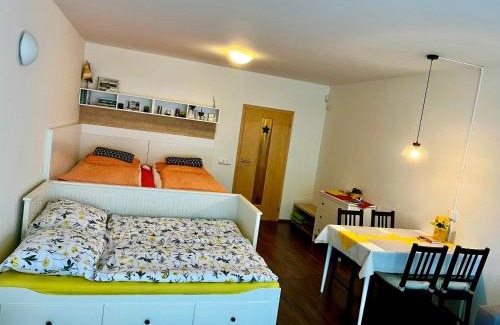 Ricky v Orlickych horach Apartment | Apartmán u Tesáka - Říčky v Orlických horách