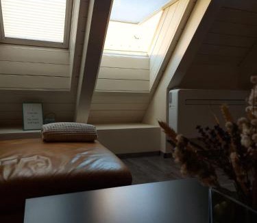 Trnava Apartment | Apartmán v podkroví Malý Paríž