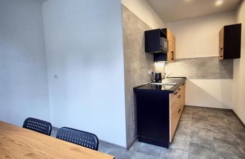 Josefov Dul Apartment | Apartmánek Jizerské hory II