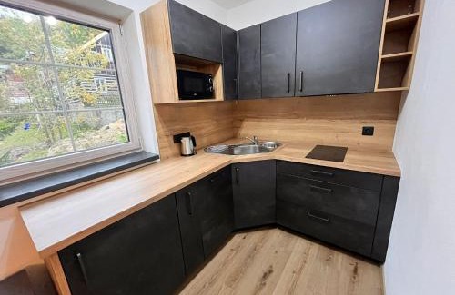 Josefov Dul Apartment | Apartmány Neli a Kubík