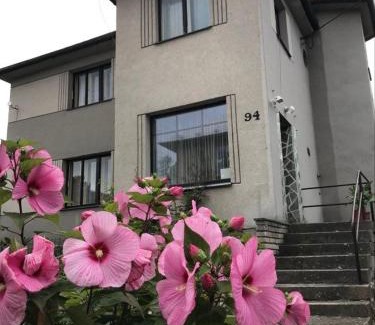 Radvanovice Apartment | Apartman Hruba Skala