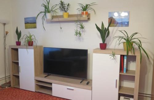 Radvanovice Apartment | Apartman Hruba Skala