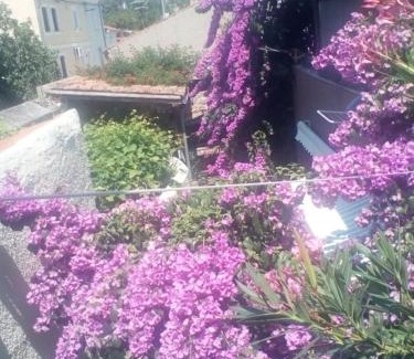 Cres House | Apartman i Sobe Čule Cres