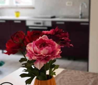 Rab Town Apartment | Apartmani "Sandro" Gonar