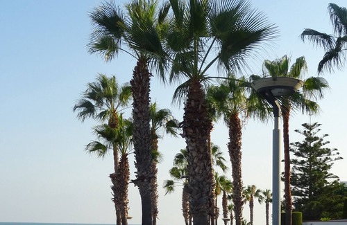 Sant Carles de la Rapita Apartment | Apartment 5 minutes from Sant Carles de la Ràpita beach