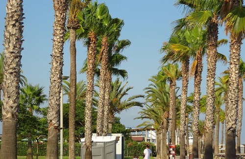 Sant Carles de la Rapita Apartment | Apartment 5 minutes from Sant Carles de la Ràpita beach