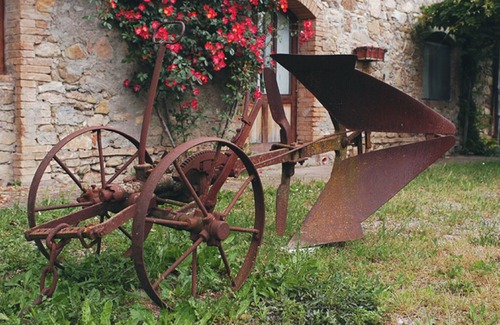 Radicondoli Apartment | Apartment 'Agriturismo San Domenico-Il Roseto' with Private Pool, Shared Terrace and Wi-Fi