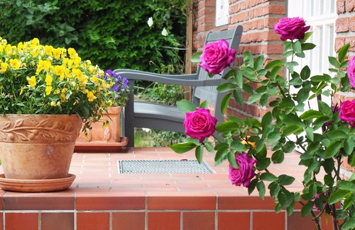 Osterby Apartment | Apartment/apartment for 4 guests with 61m² in Osterby (13370)