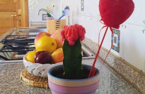 Barano d'Ischia Apartment | Apartment / app. for 3 guests with 25m² in Barano D'ischia (124702)