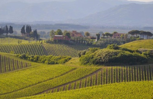 Stabbia Apartment | Apartment Corte in Poggio - Papavero in Cerreto Guidi - 4 persons, 1 bedrooms