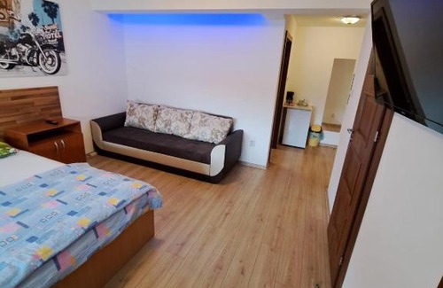 Timisoara Villa | Apartment Cozia