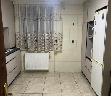 Gura Humorului Apartment | Apartment cu vedere la râu