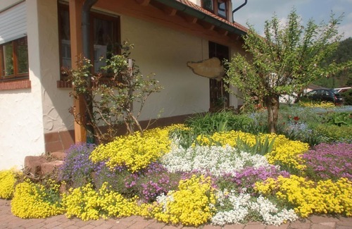 Bruchweiler-Baerenbach Apartment | Apartment/Fewo 1 "Jüngstberg" - House Eybergblick