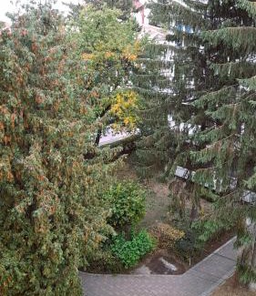 Bacau Apartment | Apartment Eminescu - A pleasant stay in Bacau