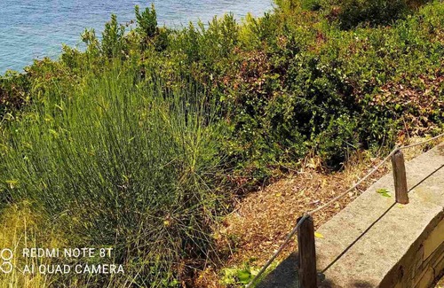 Elia Apartment | Apartment for families , by the sea