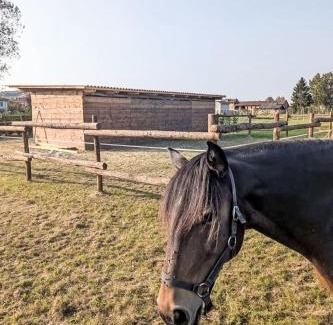 Castell'Alfero Apartment | Apartment Giada by Interhome