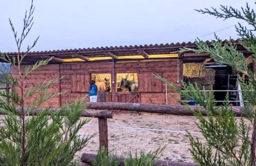 Castell'Alfero Apartment | Apartment Giada by Interhome