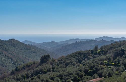 Vasia Apartment | Apartment Giallo by Interhome