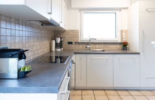 Gaienhofen Apartment | Apartment 'Höri Nest - Garten Wohnung' with Lake View, Shared Garden and Wi-Fi