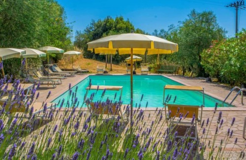 Simignano Apartment | Apartment Il Castagno in Sovicille - 4 persons, 2 bedrooms