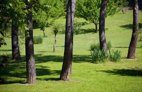 Siena Apartment | Apartment in a historic Villa "IL PALIO" view & authentic hospitality in Siena
