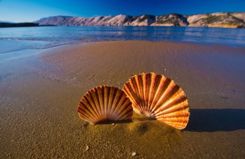 Lopar Apartment | Apartment in Lopar with Balcony, Air condition, WIFI, Washing machine (73-5)