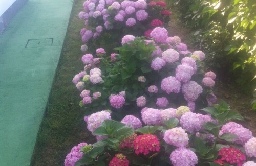 Lopar Apartment | Apartment in Lopar with Terrace, Air condition, WIFI (568-2)