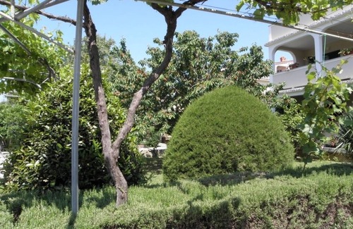 Lopar Apartment | Apartment in Lopar with Terrace, Air condition, WIFI, Washing machine (893-3)