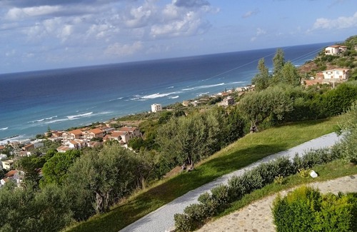 Province of Messina Apartment | Apartment in olive grove with sea view