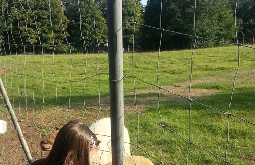 Bad Marienberg Apartment | Apartment in Westerwald in a few steps to the wildlife park, climbing forest, Marienbad ..