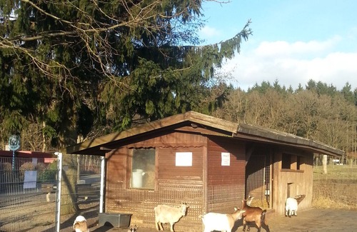 Bad Marienberg Apartment | Apartment in Westerwald in a few steps to the wildlife park, climbing forest, Marienbad ..