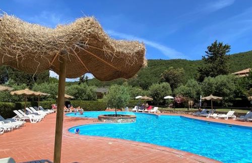 Riparbella Apartment | Apartment Istrice-30 by Interhome