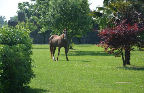 Colugna Apartment | Apartment Magalita