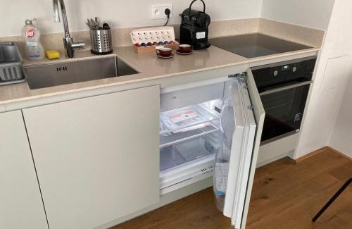 Jablonec nad Jizerou Apartment | Apartment Mozaika Bratrouchov