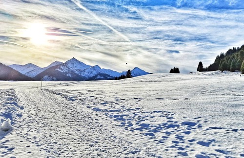 Graen Apartment | Apartment OBERGADE - BEIM MOSER Apartments Wagner Sandra
