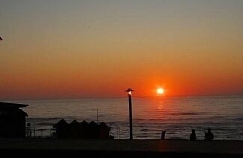 Vieira de Leiria Apartment | Apartment over the Beach and Marginal