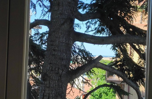 Pesaro House | Apartment Overview