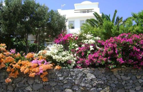 Bahia Calma Apartment | Apartment Penthouse Comfortable Vacation Home