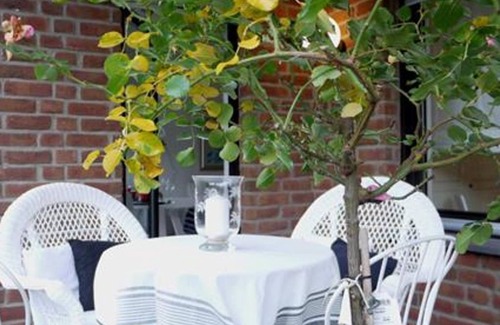 Pellenz Apartment | Apartment Rheinblick-Andernach - Apartment, bathroom, toilet, comfort