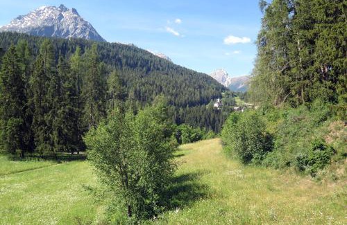 Engadin Scoul Apartment | Apartment Scuol