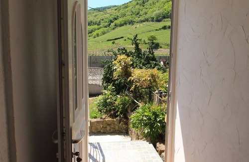Wintzenheim Apartment | APARTMENT/spa WITH AMAZING VIEWS OF THE ALSACIAN VINEYARDS
