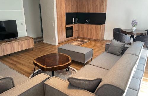 Singen Apartment | Apartment Stadtgarten