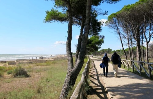 Bibione Pineda Apartment | Apartment Tuia in Bibione - 5 persons, 2 bedrooms