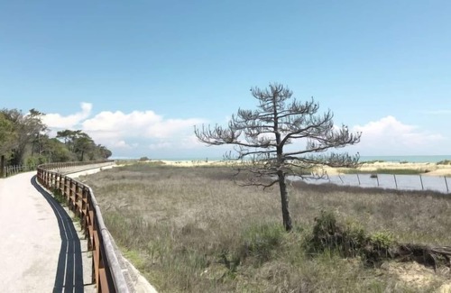 Bibione Pineda Apartment | Apartment Tuia in Bibione - 5 persons, 2 bedrooms