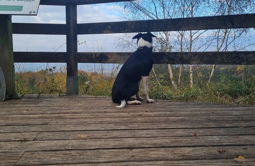 Mailly-Champagne Apartment | Apartment with garden near Reims