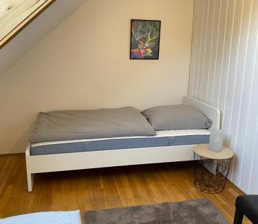 Selbitz Apartment | Apartmenthaus Selbitz