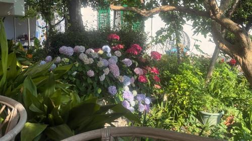 Rab Town Apartment | Apartments Anica