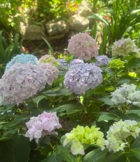 Rab Town Apartment | Apartments Anica