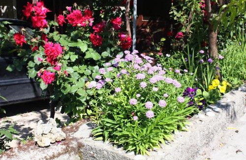 Rab Town Apartment | Apartments by the sea Supetarska Draga - Donja, Rab - 4981