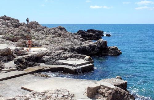 Pile Apartment | Apartments by the sea Dubrovnik - 18908
